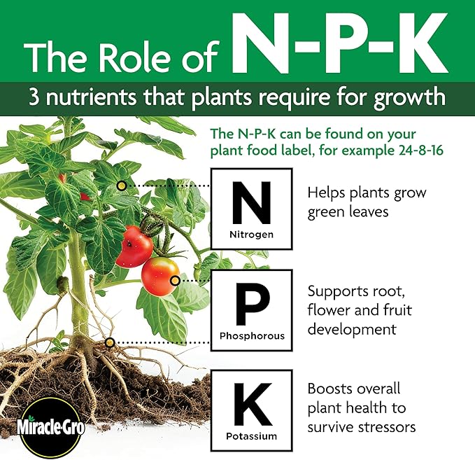 Miracle-Gro Shake 'N Feed Palm Plant Food, For Container and In-Ground Plants, Palm Trees, Cycads and Tropical Plants, 4.5 lbs.