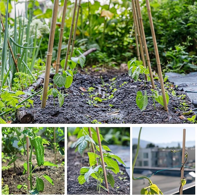 20 Pack 16/18 Inch Natural Bamboo Stakes for Plants, Thick-Wall Garden Stakes with 20 Free Green Ties - Sturdy & Treated Plant Support Sticks for Indoor/Outdoor Potted Tomatoes, Vegetables (18 Inch)
