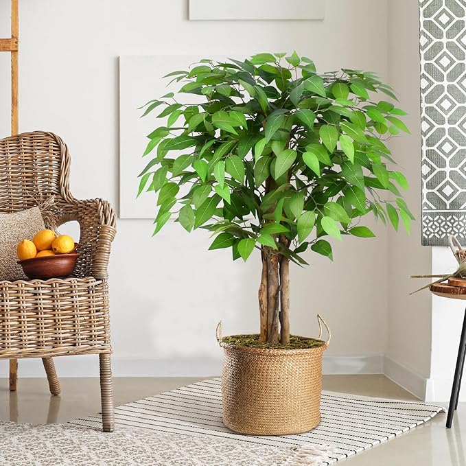 3ft Ficus Artificial Trees with Natural Curved Trunks, 36" Tall Lush Faux Tree for Home Decor Indoor, Green Lifelike Fake Ficus Tree Artificial Plants