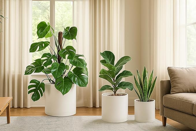 D'vine Dev 8 Inch 10 Inch 12 Inch, Set of 3 Plastic Planter Pots for Plants with Drainage Hole and Seamless Saucers, Oatmeal, X-Large, 74-V-H-5