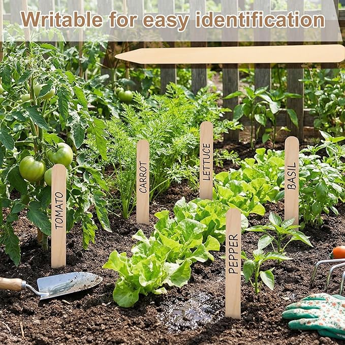 Weysat 200 Pcs 12" Wood Plant Labels for Field or Containers Plant Tags Wood Garden Labels for Seedling Stakes Markers Nursery Seed Tags with Smooth Surface for Pot Herbs Flowers Vegetables (Natural)