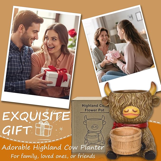 Cute Plant Pots Decor Gifts - Highland Cow Planter with Two Planters Animal Flower Pots with Drainage,Mini Succulent Pot for Home Desk Patio Decorations Outdoor Indoor Plants Pot Gift for Plant Lovers