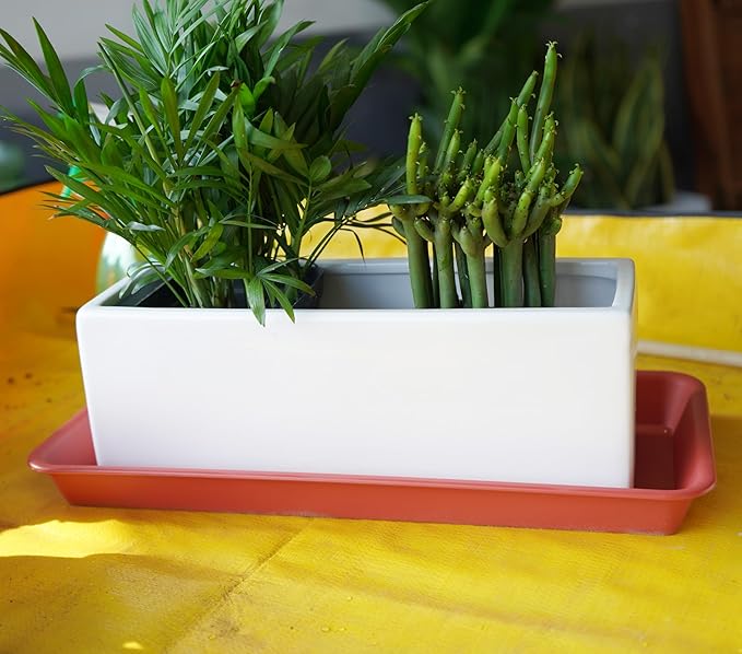 6 Pack Rectangular Plastic Plant Tray Saucer, Terracotta, 6 X 11 Inch, 100lbs Weight Capacity, Indoor/Outdoor, Windowsill Planter Tray