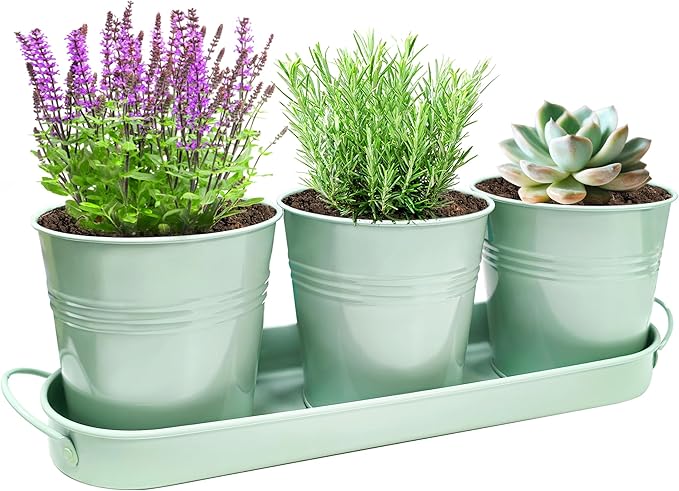 TCBWFY Indoor Herb Garden Planter Set, 3-Pack 4.7 Inch Green Metal Plant Pots with Drainage Holes & Removable Tray, Windowsill Planter for Kitchen Countertop, Balcony, Office