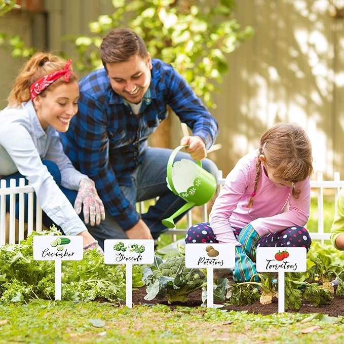 30 Pcs Acrylic Vegetable Labels Signs Waterproof Plant Marker Garden Stake Tags with Vegetable Name 15 Styles T-Type Markers Reusable for Nursery Indoor Outdoor Spring Garden Decoration