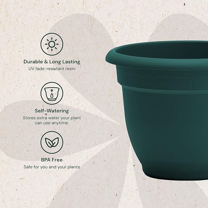 Bloem Ariana 10" Charleston Round Self-Watering Resin Planter Pot - Rolled Rim Indoor and Outdoor Gardening Planter