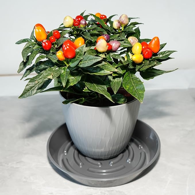 2 Packs Plant Saucer Pot Tray, 12 inch Grey Flower Planter Saucers and Drip Trays