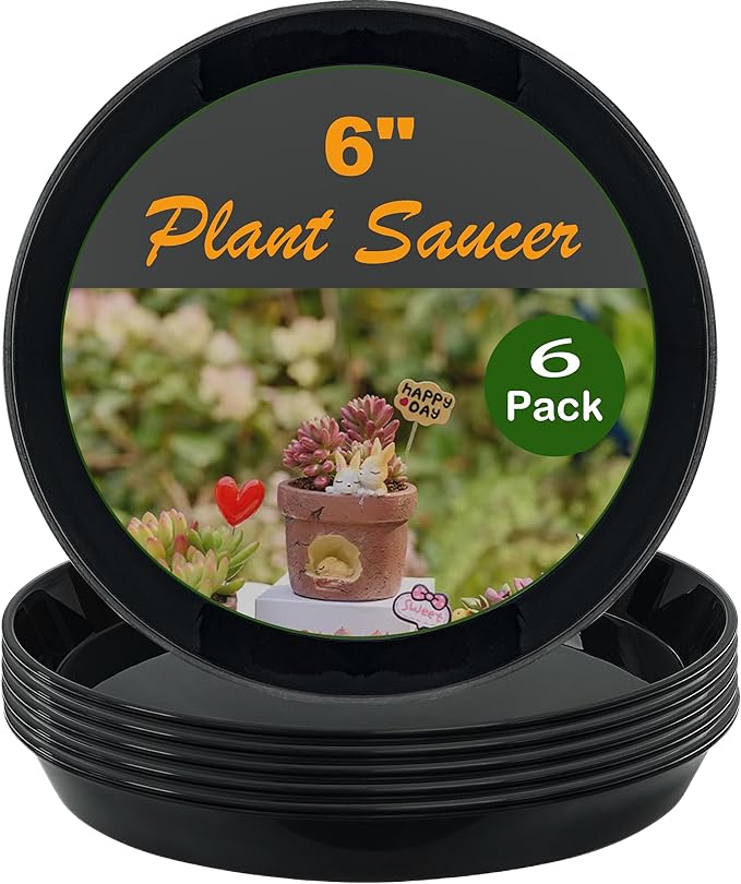 Plant Saucer Tray 6 inch, 6 Pack Plastic Plant Saucers for Indoors Outdoor, Heavy Duty Drainage Drip Water Trays for Planter Pots Flower, saucers for potted plants (6", Black)