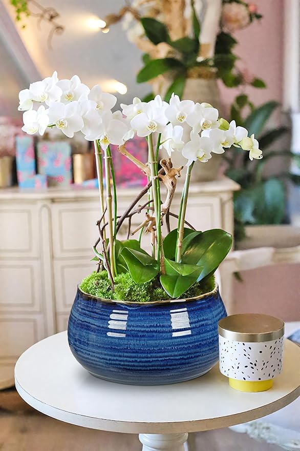 Hollyone Blue Ceramic Planters 6.4 Inch Modern Glaze Pots for Succulent Plants Round Flower Plant Garden Pots Modern Planters Flowers Pots for Indoor Outdoor Snake Plants