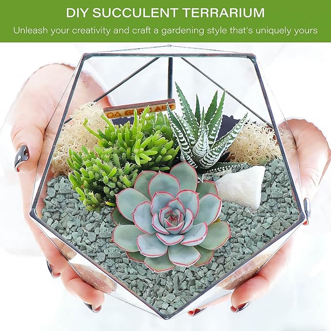 NUPICK 20lb Green Zeolite for Plants, 3/8" Natural Succulent Potting Soil Amendments, Decorative Gravel for Cactus, Bonsai Gritty Rock, Pebbles Pumice for Vase Fillers, Top Dressing