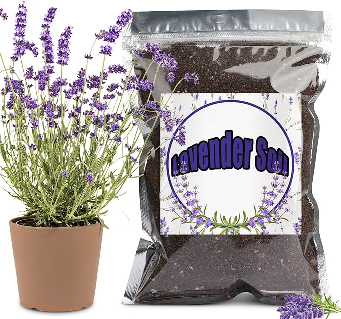 Premium Lavender Potting Mix 4qt, Promotes Lavender Blossoming, Perfect for Indoor and Outdoor Gardening