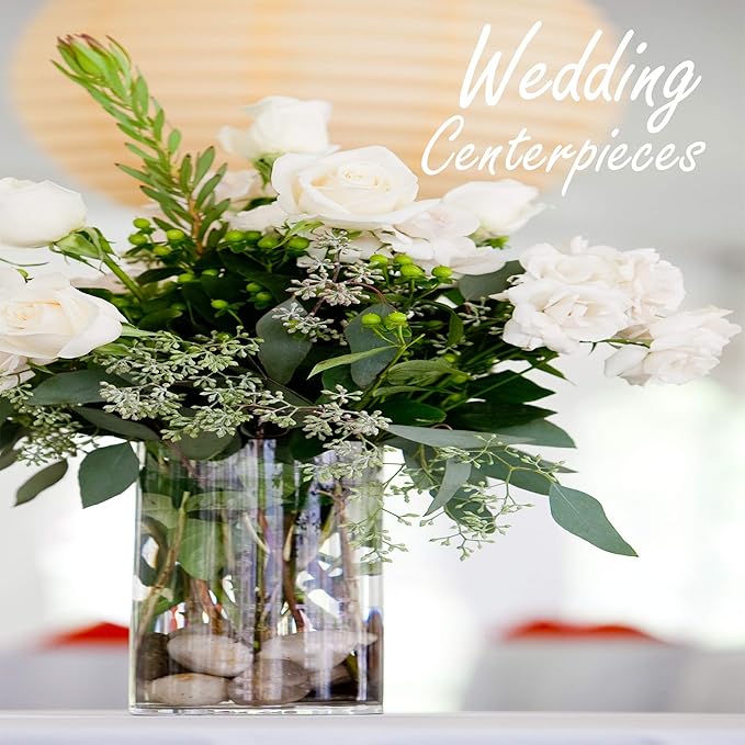 CYS Excel Glass Cylinder Flower Vase (H:8" D:8") Flower Vase Centerpieces Hurricane Floating Pillar Candle Holder Terrarium Planter
