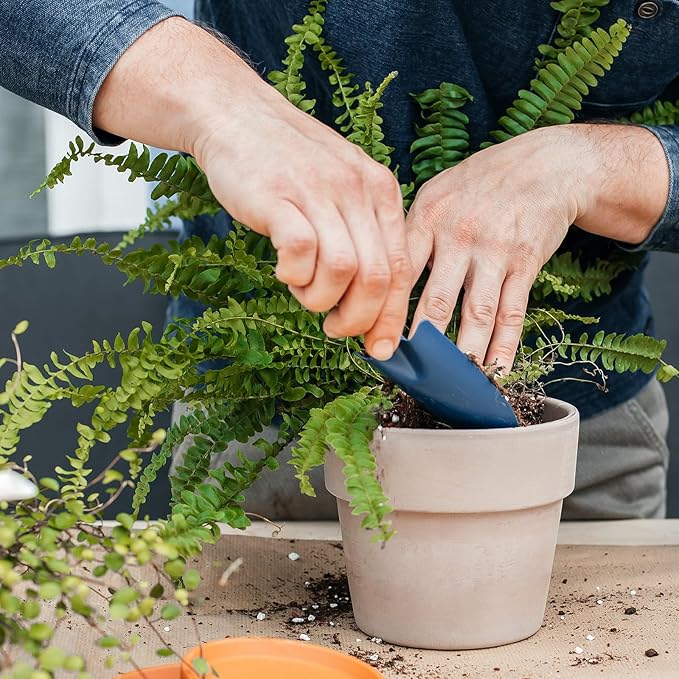 Potting Soil Mix for Fern 1qt, Custom Hand Blended Mixture Suitable for Indoor/Outdoor Potted Fern Plant