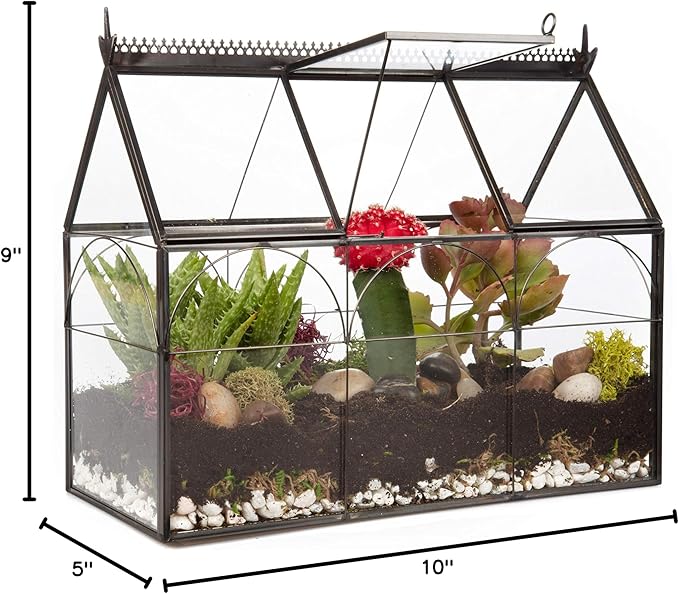 D'Eco Glass Greenhouse Centerpiece (10x4.5x9) - Valentine's Day Home Decor - Tabletop Geometric Planter Terrarium - Fill with Succulents, Moss, Roses, Chocolates - Valentines Gift for Plant Lovers