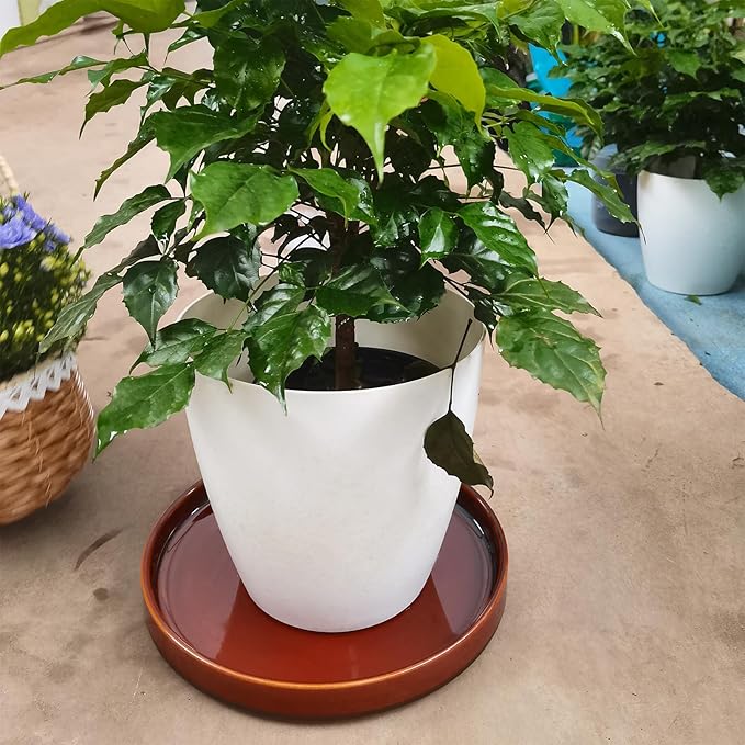 Ceramic Plant Saucer 9 Inch, Round Plant Trays for Indoors/Outdoors, Flower Pot Saucers for Holding Water Drips and Soil, Ceramic Drainage Tray for Plant Pot (Reactive Glaze Brown)