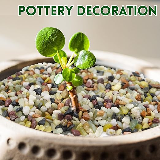 2.2 lb Pebbles for Indoor Plants, 3/8 Inch Decorative Rocks for Potted Plants, Natural Polished Pebbles for Vases, Succulent, Planters, Landscaping Drainage and Outdoor Gardening