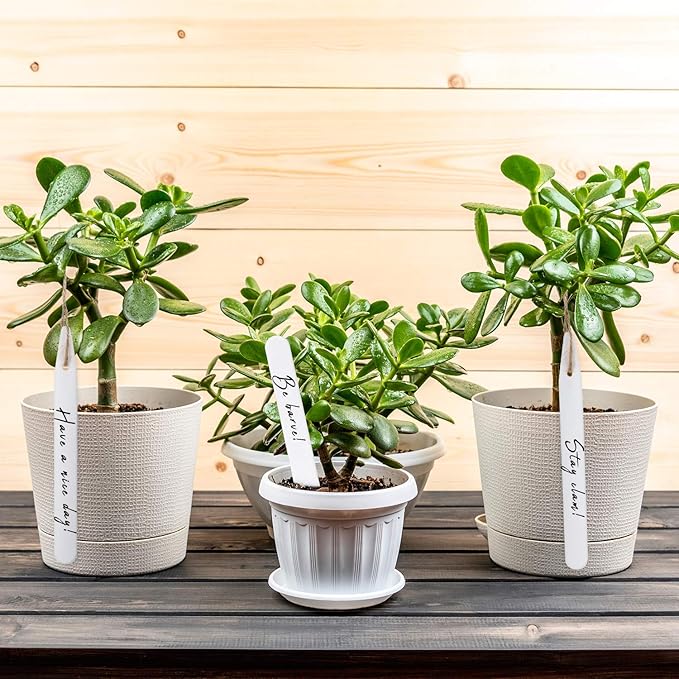 Whaline 200Pcs Thick Plastic Plant Labels with Hole White Garden Stakes Waterproof Garden Tag Signs for Greenhouse Seedlings Flowers Spotted Plants with 2 Marker Pen and A Roll of Twine (10 CM)