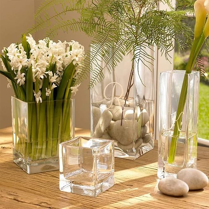 WGV Tall Square Vase Glass Block Bulk, Length 5", Height 10", Clear Large Floral Plant Container, Fish Tank, Planter Terrarium for Wedding Party Event, Home Office Decor, 6 Pieces
