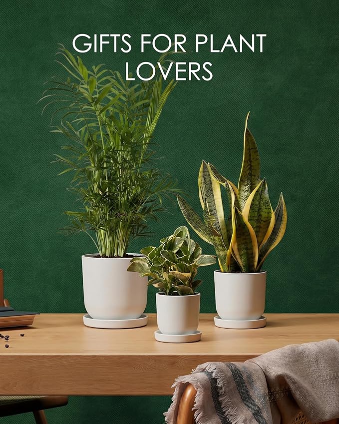 Bamworld Plant Pots Planters for Indoor Plants Flower Pots with Drainage Holes 5/6/7.5 Inch Set of 3 Plastic Planters for Outdoor Plants Garden Pots for Office Room Home Decor White
