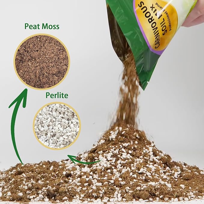 Carnivorous Plant Soil Mix 4qt, Pure Peat Moss and Perlite Mixture for Venus, Pitcher, Butterwort, Nepenthes, Sundew