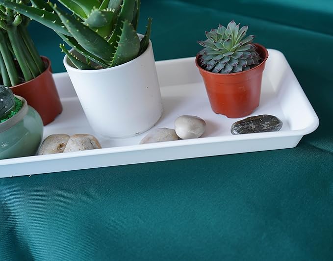 6 Pack Plastic Plant Tray Saucer, Rectangular, Indoors Outdoor, Water Drip Tray for Flower Pot, Windowsill (6.5 x 13 Inch, Cream White)