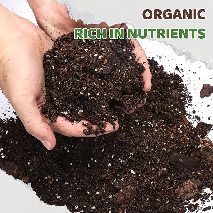Premium Snake Plant Soil Mix 1qt, Indoor Plants Potting Mix for All Potted Snake Plants, Promote Healthy Growth and Easy Care, black