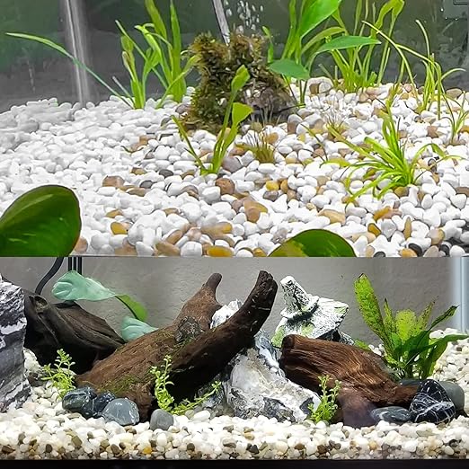 White Pebbles for Indoor Plants 2.5 LB Small River Rocks 1"-1.5" Polished Decorative Stones Smooth Aquarium Gravel for Fish Tank Vases Planters Outdoor Landscaping Garden (40oz)
