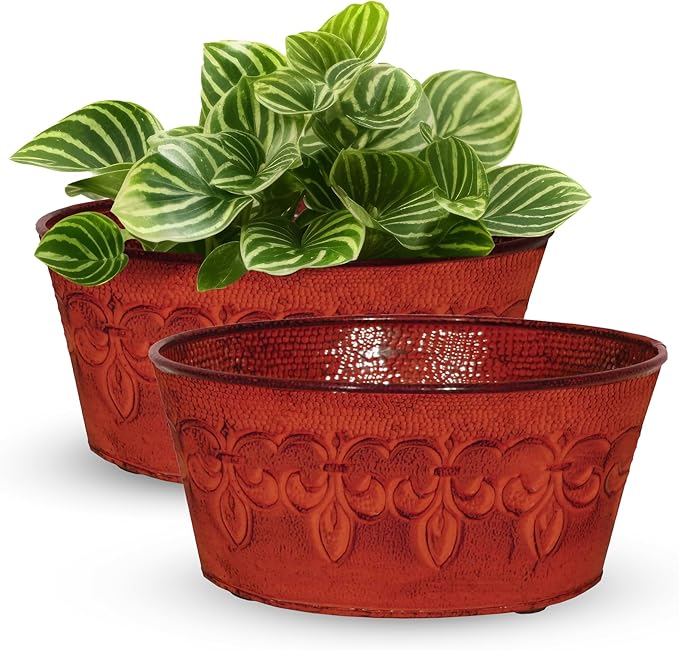 Headwind Ironlite Fleur De Lis Collection – 8" Cayenne Red Bowl Decorative Planter with Drain Plug – Lightweight Metal Garden Pots for Indoor & Outdoor Planters Use by Robert Allen
