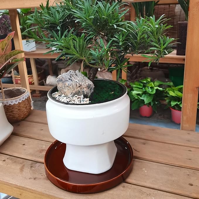 Ceramic Plant Saucer 9 Inch, Round Plant Trays for Indoors/Outdoors, Flower Pot Saucers for Holding Water Drips and Soil, Ceramic Drainage Tray for Plant Pot (Reactive Glaze Brown)