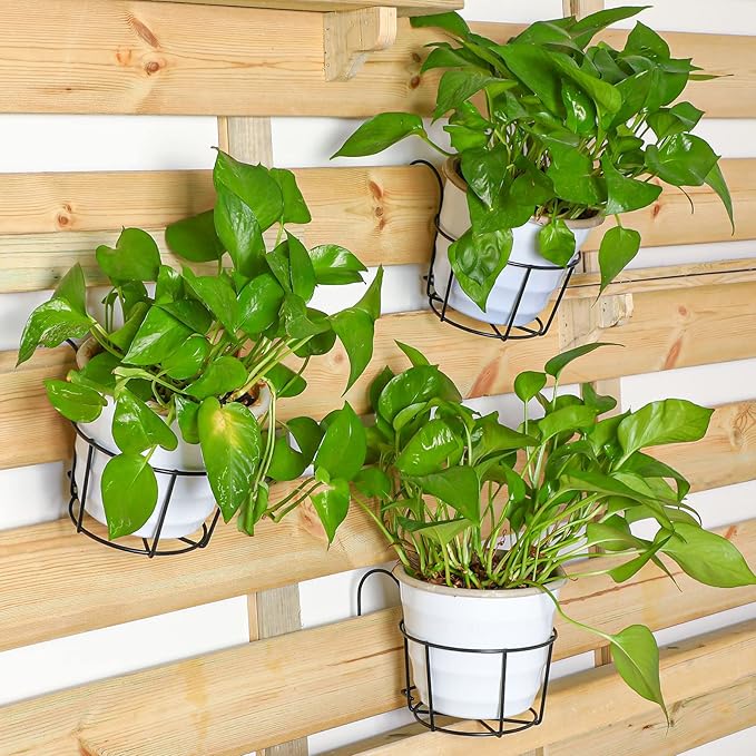 12 Pcs Hanging Railing Planters 6 Inch Flower Pot Holders Black Potted Stand Railing Planter Iron Rack Balcony Planter Basket Small Shelf Container for Indoor Outdoor Balcony Fence Garden Flower Pot