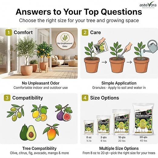 Olive Tree Fertilizer – Fruit Tree Fertilizer for Olive Tree, Citrus, Lemon, Lime, Fig, Avocado, Mango, Apple & Pomegranate – for Potted & Outdoor Trees (4 quarts - 8 lbs.)