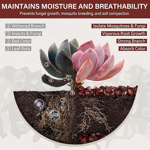 NUPICK 6 lbs Pebbles for Indoor Plants, 3/8 Inch Pea Gravel for Fish Tank, Polished Decorative Rocks for Succulent, Natural River Stones for Vases, Cactus, Landscaping, Bird Bath, Aquarium, Red