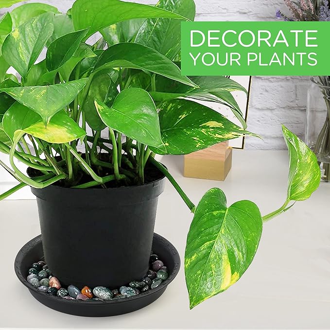 LotFancy Plant Saucer, 9 Inch of 3 Pack, Heavy Duty Plastic Plant Trays, Durable Pot Saucer Drip Tray for Indoor Outdoor, Flower Drainage Pot Base, Black