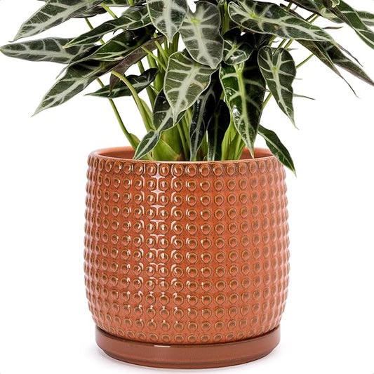 D'vine Dev 8 Inch Ceramic Beaded Stoneware Planter Pot - Flower Pot with Drainage Holes and Saucers for Indoor Succulent Plants or Flowers, Pumpkin, 27-C-Q-J