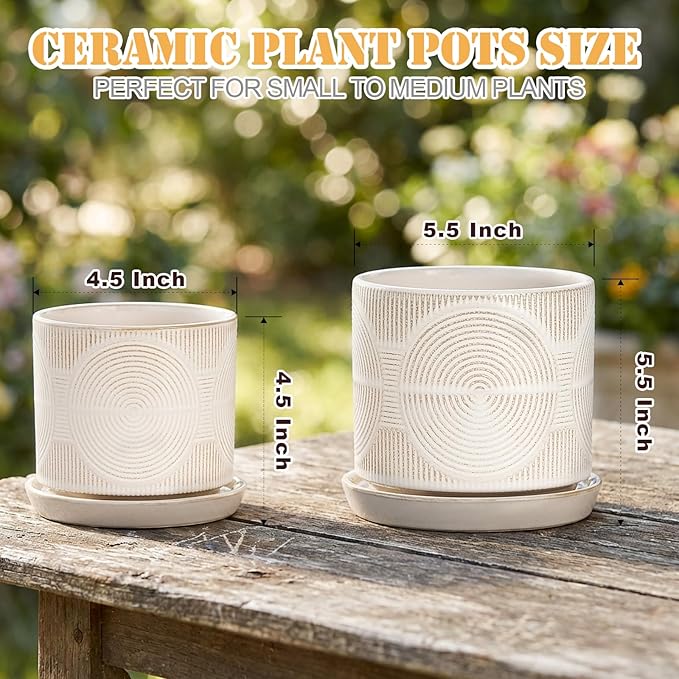 Ceramic Plant Pots, Set of 2, Pots for Plants(4.5+5.5inch), Flower Pots for indoor planters with drainage and tray, Indoor Plant Pots for Succulents Cactus Herbs - Small Planters for Home Office Decor