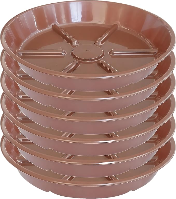 Plant Saucer Pot Tray 6 inch, 6 Packs Flower Planter Saucers, Heavy Drainage Tray for Indoors No Holes, Plastic Plant Saucers Water Catcher for Pots Base, Chocolate