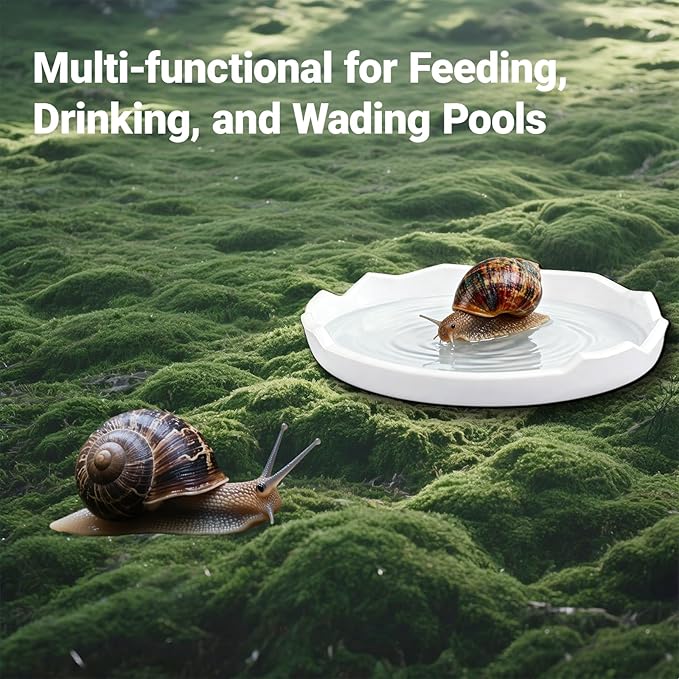 2 Pack Snail Food and Water Bowl，atural Design Food Bowl for Pet Snails, Garden Snails Pet Land Snail Supplies(White)