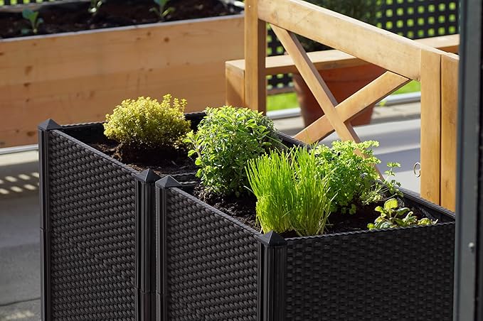 D'vine Dev Raised Patio Planter Box - Elevated Planter with Drainage Plug Raised Garden Beds for Growing Flowers, Herbs, Vegetables - Outdoor Standing Gardening Kit, Set of 4, RGB-D-4