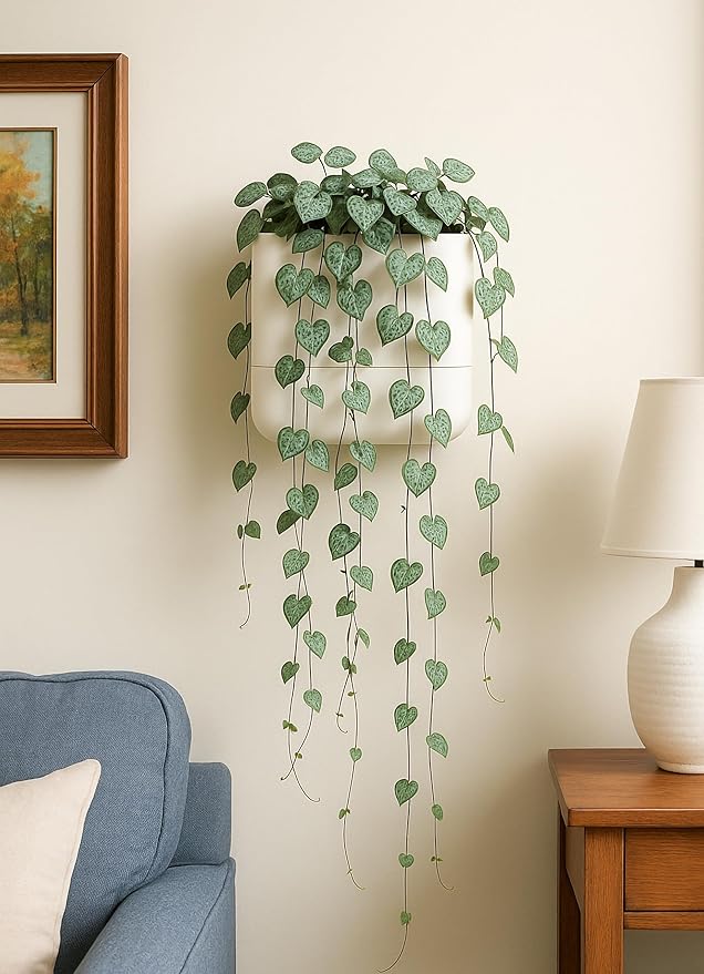 Phoenix Vine 6.5-Inch Wall Mounted Self-Watering Planter Pot for Indoor Houseplants and Herbs | Hanging Planter for Window Sills, Bathroom Walls, Home & Office Décor, Oatmeal, Set of 2, 01-WP-D-2