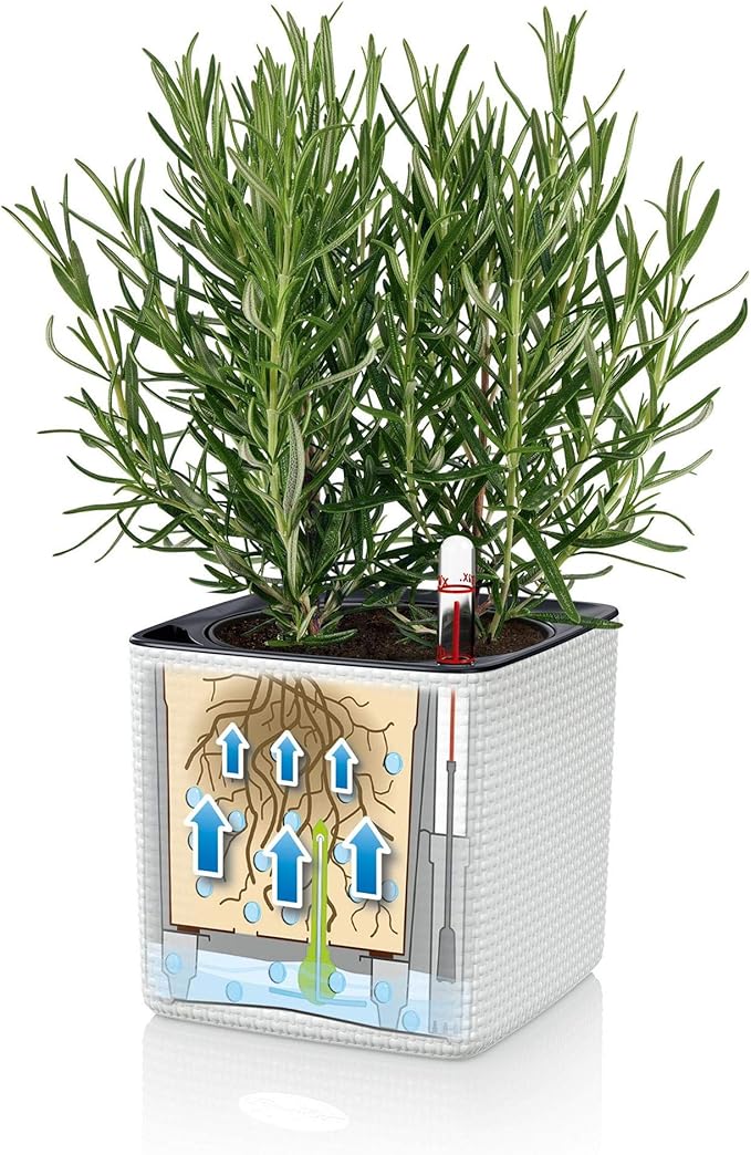 Lechuza Cube Color 16 Slate, Self-Watering Indoor Small Plant Pot, H6.3 L6.7 W6.7 in
