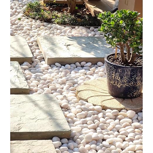 5 lbs White River Rocks, Polished Pebbles for Indoor Plants, 1-2 inch Decorative White Stones for Plants Vase Aquarium Fish Tank and Outdoor Garden Landscaping Rocks