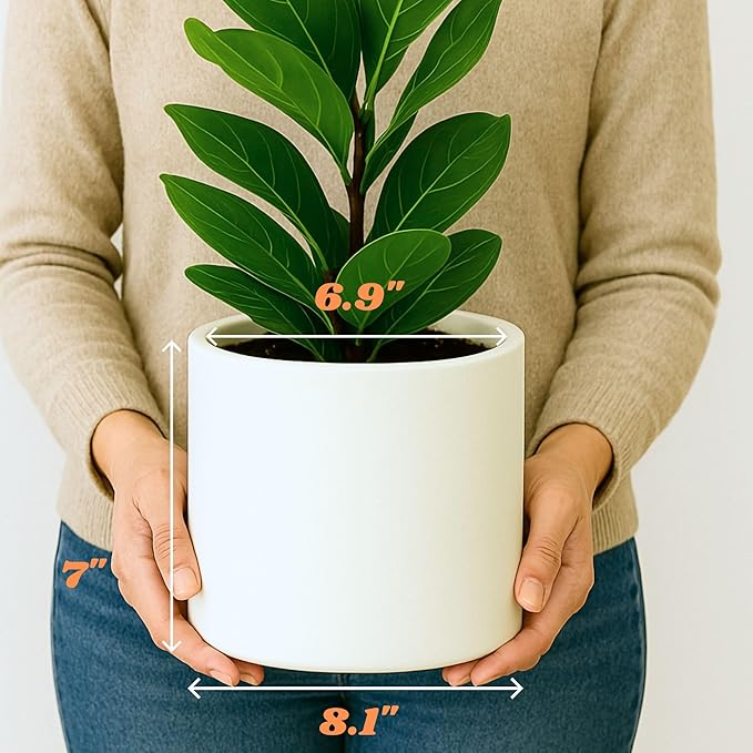 Fox & Fern 8 Inch Plant Pot with Drainage Plug — Premium Lightweight Fiberstone Matte White Planter - Indoor & Outdoor Planter - 8 Inch Pots for Plants - Weather Resistant & UV Resistant