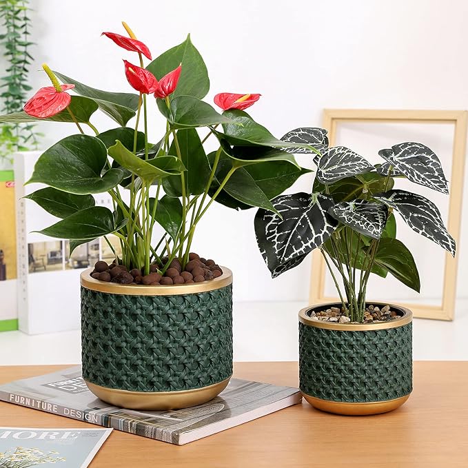 6&4.4 Inch Cement Planter Decorative Pots with Drainage Hole for All House Plants, Succulents, Flowers, and Cactus (Gold Green)