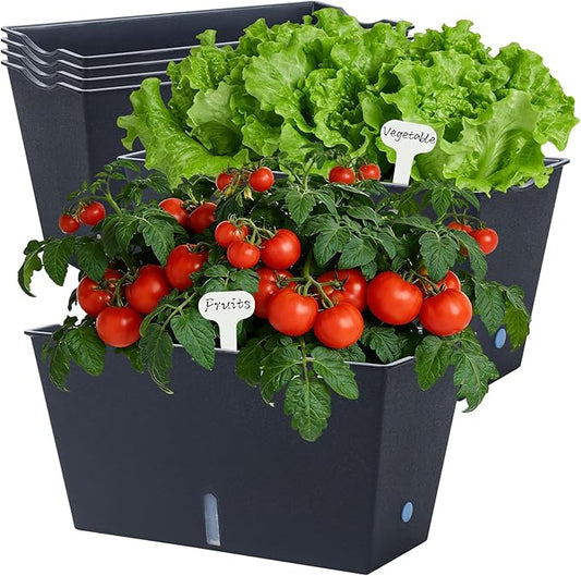 Window Box Planter 6 Pcs, 12.1 Inches Self Watering Plant Pots Rectangle Flower Pots with Drainage Holes and Breathable Trays, Vegetable Planters for Windowsill Patio Garden Balcony Porch Yard (Black)