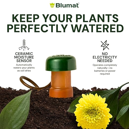 Blumat Classic Self-Watering Stakes - Automatic Drip Irrigation System for Indoor Plant Watering & Outdoor - Water Drip Solution for Potted Plants - Slow Release Stakes, 3 Pack, w Adapter