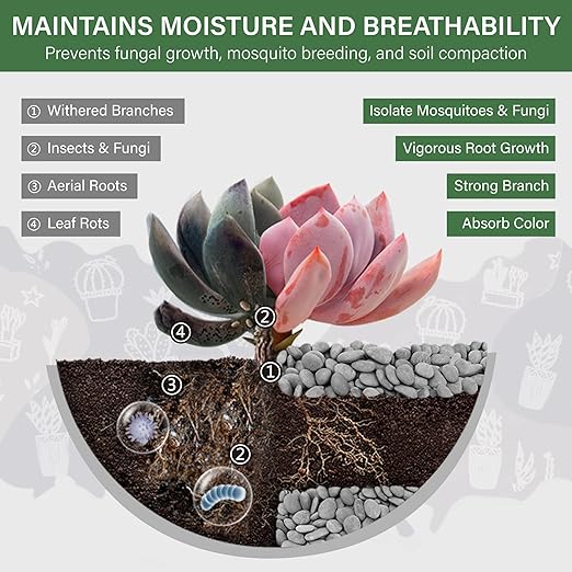 NUPICK 6lb Mexican Beach Pebbles, 1" Black River Rocks for Landscaping, Smooth Garden Rocks for Outdoor Paving, Natural Black Pebbles for Plants, Decorative Stones for Planters, Fish Tank, Fountain