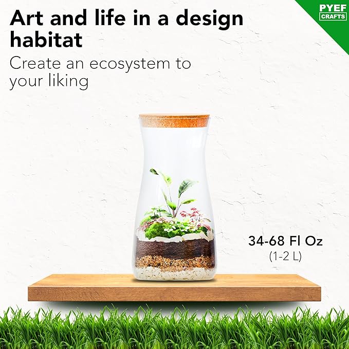 DIY Terrarium Kit for Plants – Build a Self‑Sustaining Closed Ecosystem – Supplies for Up to 68 oz (1‑2 Liter) – Succulents, Air Plants (Tillandsia), Fern – Jar Not Included