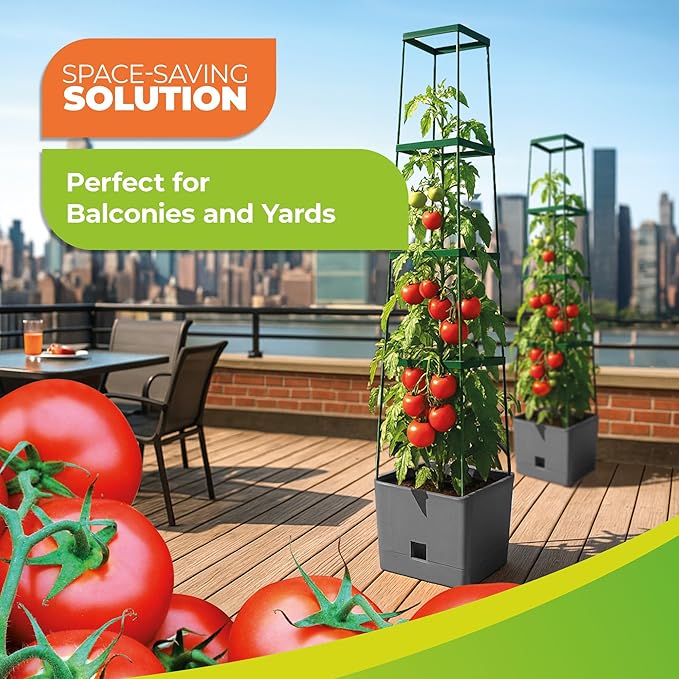 BioGreen 2 Pack Garden Tomato Planter MAXITOM, with Plant Support Trellis 59 inch and Self Watering, 4,2 Gal Planter Box for Climbing Vegetables Plants, Gray