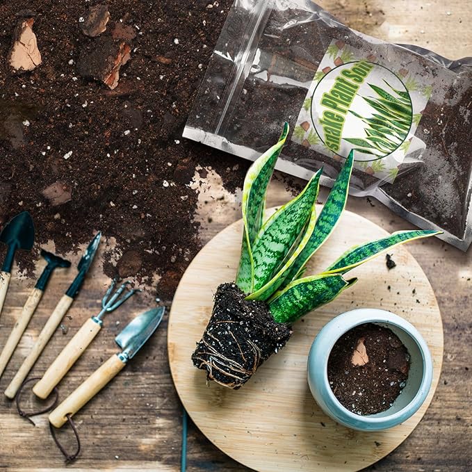 Premium Snake Plant Soil Mix 1qt, Indoor Plants Potting Mix for All Potted Snake Plants, Promote Healthy Growth and Easy Care, black