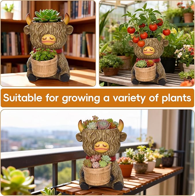 Cute Plant Pots Decor Gifts - Highland Cow Planter with Two Planters Animal Flower Pots with Drainage,Mini Succulent Pot for Home Desk Patio Decorations Outdoor Indoor Plants Pot Gift for Plant Lovers